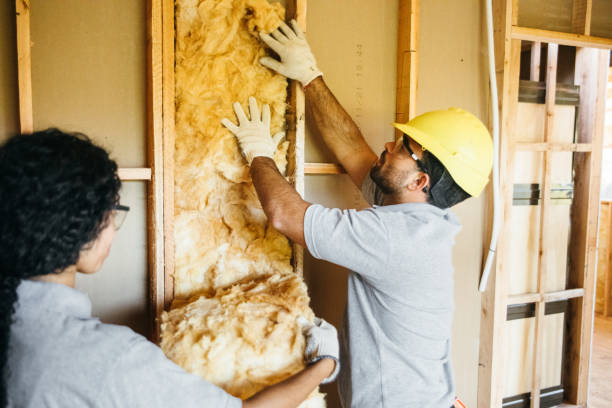 Best Residential Insulation Services  in Marshall, IL