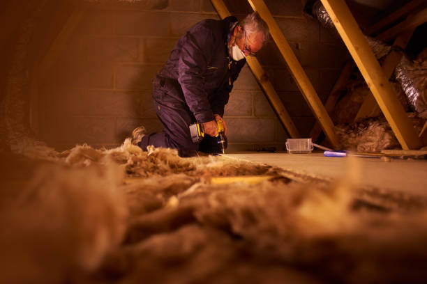 Insulation Inspection Services in Marshall, IL